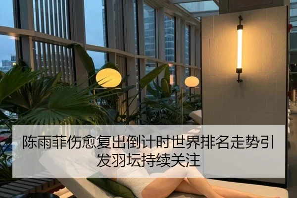陈雨菲伤愈复出倒计时世界排名走势引发羽坛持续关注